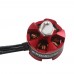 KingKong 2205 2300KV Motor CW with Protector for QAV250 QAV260 QAV280 Quadcopter