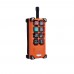 1 Transmitter & 1 Receiver Hoist Crane Radio Industrial Wireless Remote Controller AC110V F21-E1B