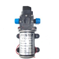 High Pressure Diaphragm Self Priming Water Pump 12V DC 100W 160Psi 8Lpm for Wash