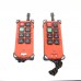 2 Transmitter & 1 Receiver Hoist Crane Radio Industrial Wireless Remote Controller AC110V F21-E1B