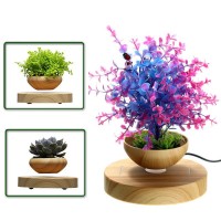 Magnetic Levitation Potted Plant Floating Decoration Green Miniascape Bonsai for Gift Ornaments DIY
