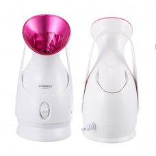 Oxygen Ions Facial Steamer Spray Face Humidifier PTC Thermostatic Emollient Nano Ion Moisturizing Sprayer  