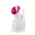 Oxygen Ions Facial Steamer Spray Face Humidifier PTC Thermostatic Emollient Nano Ion Moisturizing Sprayer  