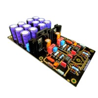 DUAL Amplifier Board OPA2111KP OP AMP for LongPlay LP Purple Capacitors Assembled