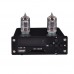 ZL M5 APE Music Player Electronic Tube Signal Amplifier Audio High Version