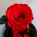 Beauty And The Beast Real Preserved Red Rose Glass Dome Best Gifts for Lovers 