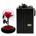 Beauty And The Beast Real Preserved Red Rose Glass Dome Best Gifts for Lovers 