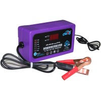 6V/12/24V LCD Fully Compatible Battery Charger for Car/Motorcycle/E-bicycle Short Circuit 