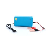 12V 6A Car Minibus Intelligent Battery Charger 20-60AH Repair 50-60Hz Blue Green