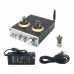 PJ.MIAOLAI M8 HiFi Power Digital Amplifier Bluetooth 6J1 Electron Tube Silver 