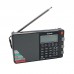 Tecsun PL-880 PLL Multi Conversion AM/FM/LW/SW/Longwave Shortwave with SSB Radio