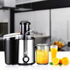 Stainless Steel Whole Fruit Dual Speed Juicer Vegetable Citrus Juice Extractor