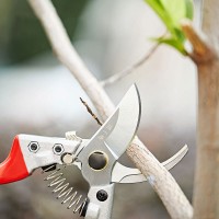 S10490100 SK-5 Heavy Duty Pruner Pruning Shears Tree Bonsai Scissors Cutting Tool