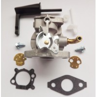 Carburetor For Briggs & Stratton 798653 697354 790290 791077 698860