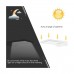 36LED Solar Motion Sensor LED Light Outdoor Garden Security Lamp Waterproof Light