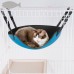Water Resistant Cat Hammock Bed EVA Oval Shape Strong Hanging Hammock for Cats Kittens