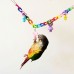 Colorful Bird Parrot Swing Toys For Parakeet Cockatiel Budgie Lovebird