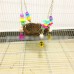 Natural Rattan Bird Swing Toy Nest with Bells for Parrot Cockatoo Macaw Cockatiel Conure Lovebird