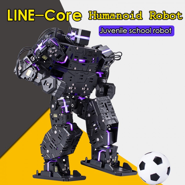 humanoid combat robot