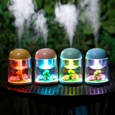 Mini Aroma Humidifier Portable Micro-Landscape Air Humidifier with Light + USB Cable