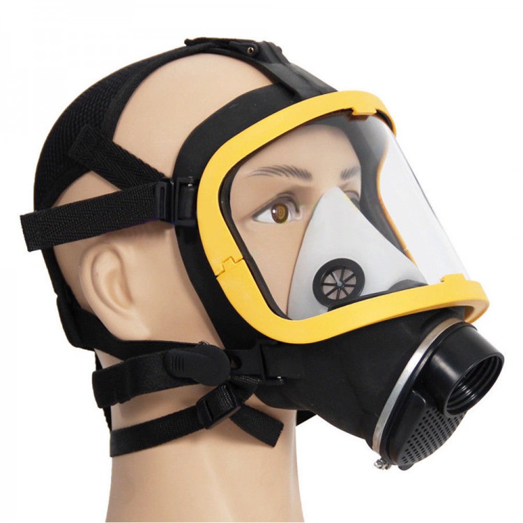 Air Fed Full Face Gas Mask Respirator System Electric Supplied 2 Wind