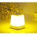 LED Dimmable Night Light Lantern Lamp USB Charging Type Optional Light Color Indoor Outdoor 