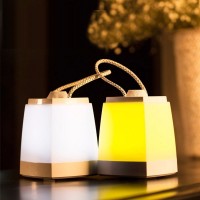 LED Dimmable Night Light Lantern Lamp USB Charging Type Optional Light Color Indoor Outdoor 