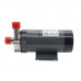 304 Stainless Head Magnetic Drive Pump with Plug 15R Food Grade High Temperature Pump 220V