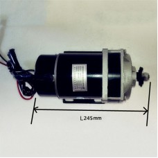 600W 48V Electric Motor for Bicycle Permanent Magnet DC Brush Motor MY1120ZXF for E-Tricycle 