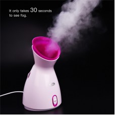 Fruit Vegetable Facial Steamer Humidifier Hot Mist Steam Sprayer Nano Spray Face Atomizer Steaming