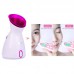 Fruit Vegetable Facial Steamer Humidifier Hot Mist Steam Sprayer Nano Spray Face Atomizer Steaming