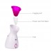 Fruit Vegetable Facial Steamer Humidifier Hot Mist Steam Sprayer Nano Spray Face Atomizer Steaming