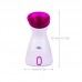 Fruit Vegetable Facial Steamer Humidifier Hot Mist Steam Sprayer Nano Spray Face Atomizer Steaming