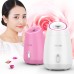 Facial Steamer Fruits Vegetables Spray Hot Mist Steam Nano Sprayer Face Atomizer Steaming MR-Z1