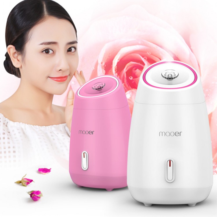 Facial Steamer Fruits Vegetables Spray Hot Mist Steam Nano Sprayer Face