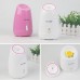 Facial Steamer Fruits Vegetables Spray Hot Mist Steam Nano Sprayer Face Atomizer Steaming MR-Z1