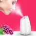 Facial Steamer Fruits Vegetables Spray Hot Mist Steam Nano Sprayer Face Atomizer Steaming MR-Z1