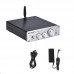 PA-01 3-In-1 Power Amplifier DAC Headphone Amp 200W BT 5.0 (Amp + Antenna + Power Adapter Cable)