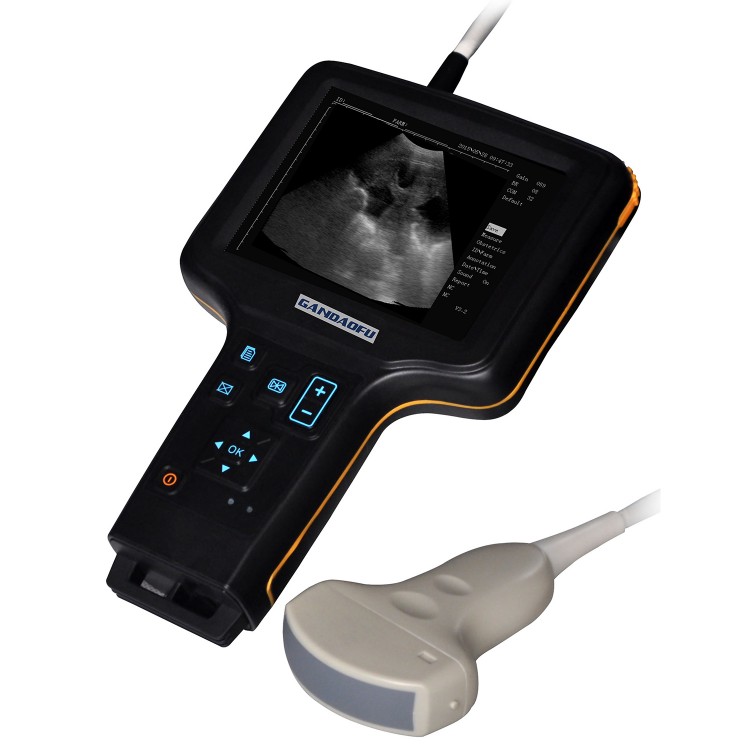GDFW2 Veterinary Ultrasound Scanner w/ 3.5MHz Convex Probe 5" LCD for