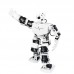 18DOF Visual Humanoid Robot Programmable Robot TonyPi Finished w/ Main Board for Raspberry Pi 4B/2G