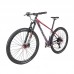 29 Inch Mountain Bike MTB with Lightweight Carbon Fiber 18K Frame 29 x 15" STORM2.0     