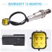 OE 234-4381 For Nissan Altima 2007-2013 2.5L 3.5L O2 Oxygen Sensor Downstream