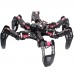 18DOF Hexapod Robot Spider Robot 2DOF PTZ with Main Board for Raspberry Pi 4B/1G Finished 