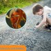 Maxgeek 2MP Digital Microscope Magnifier Wireless WiFi 1000X USB For IOS iPhone Android