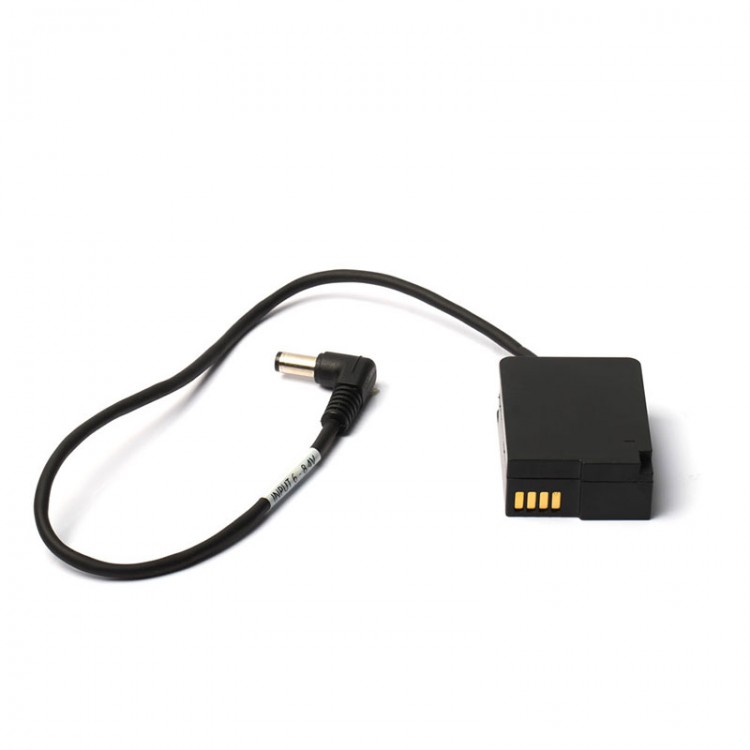 Sigma Fp Dummy Battery
