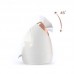 Nano Facial Steamer Ionic Nano Face Steamer with Adjustable Spray Nozzle Thermal Beauty Skin Care