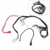 Complete ATV Wiring Harness Kit w/ Ignition Coil Go Kart Wiring Harness 6-Pole Stator for 110-125CC 