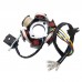 Complete ATV Wiring Harness Kit w/ Ignition Coil Go Kart Wiring Harness 6-Pole Stator for 110-125CC 