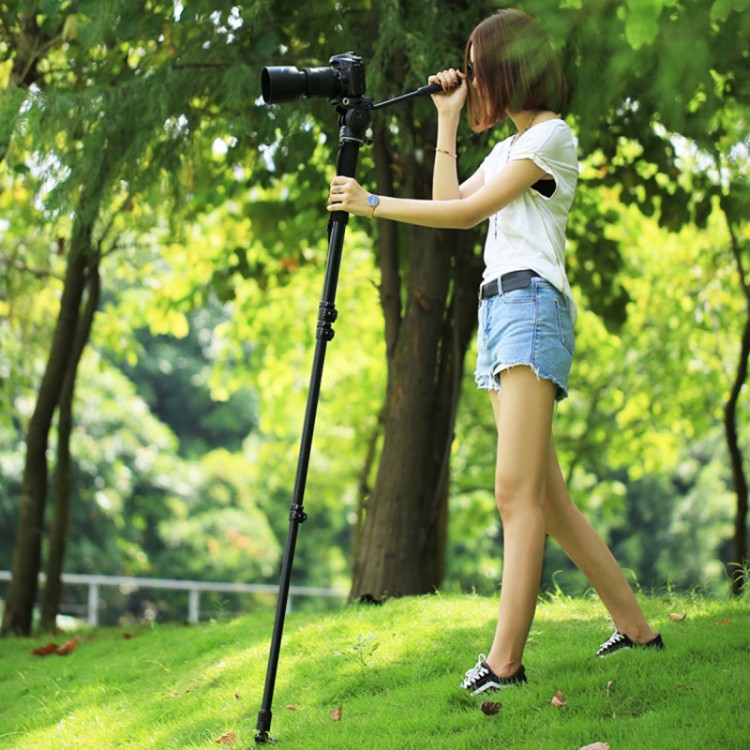 DSLR Monopod Telescoping Camera Monopod Stand FourSection with Support