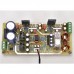 SK18752 Fever Amplifier Board with Preamp AC 12-22V Power Amp Module Compatible with LM1875 Chip